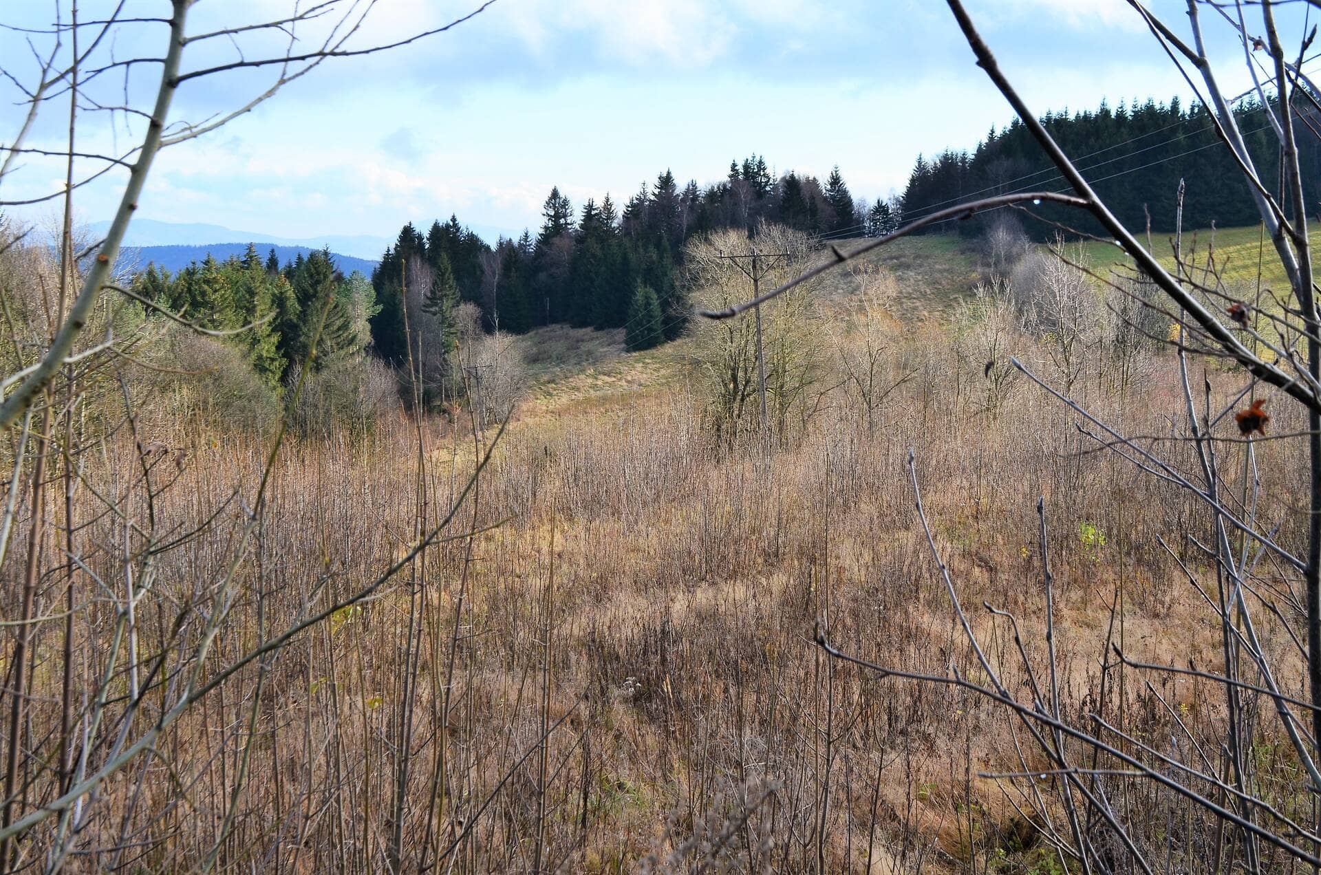 Działka 35900 m²