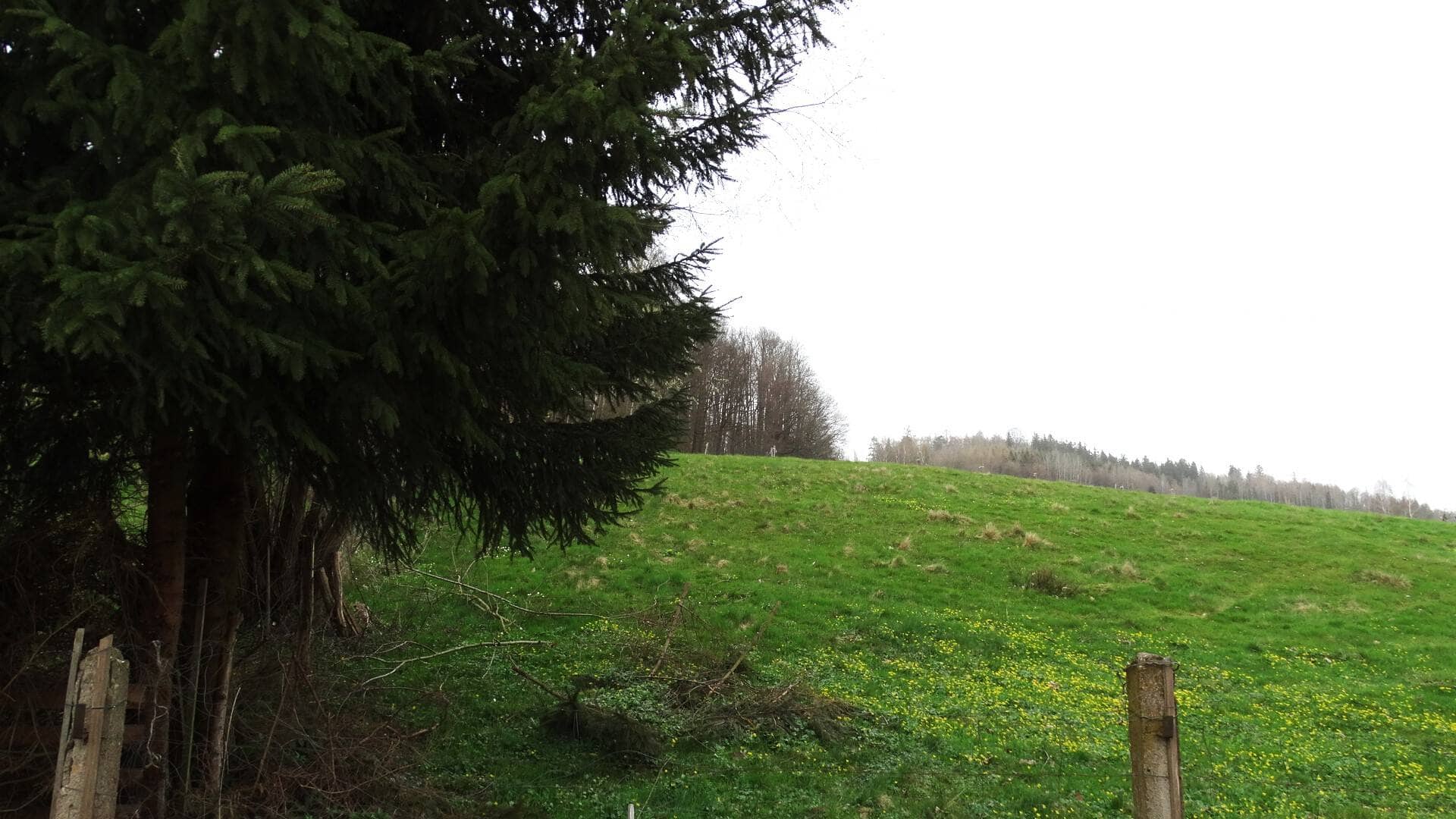 Działka 2231 m²