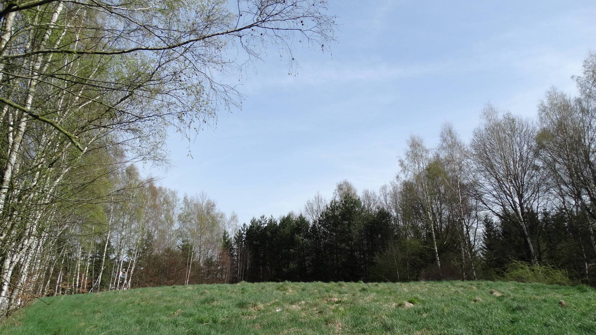 Działka 46000 m²