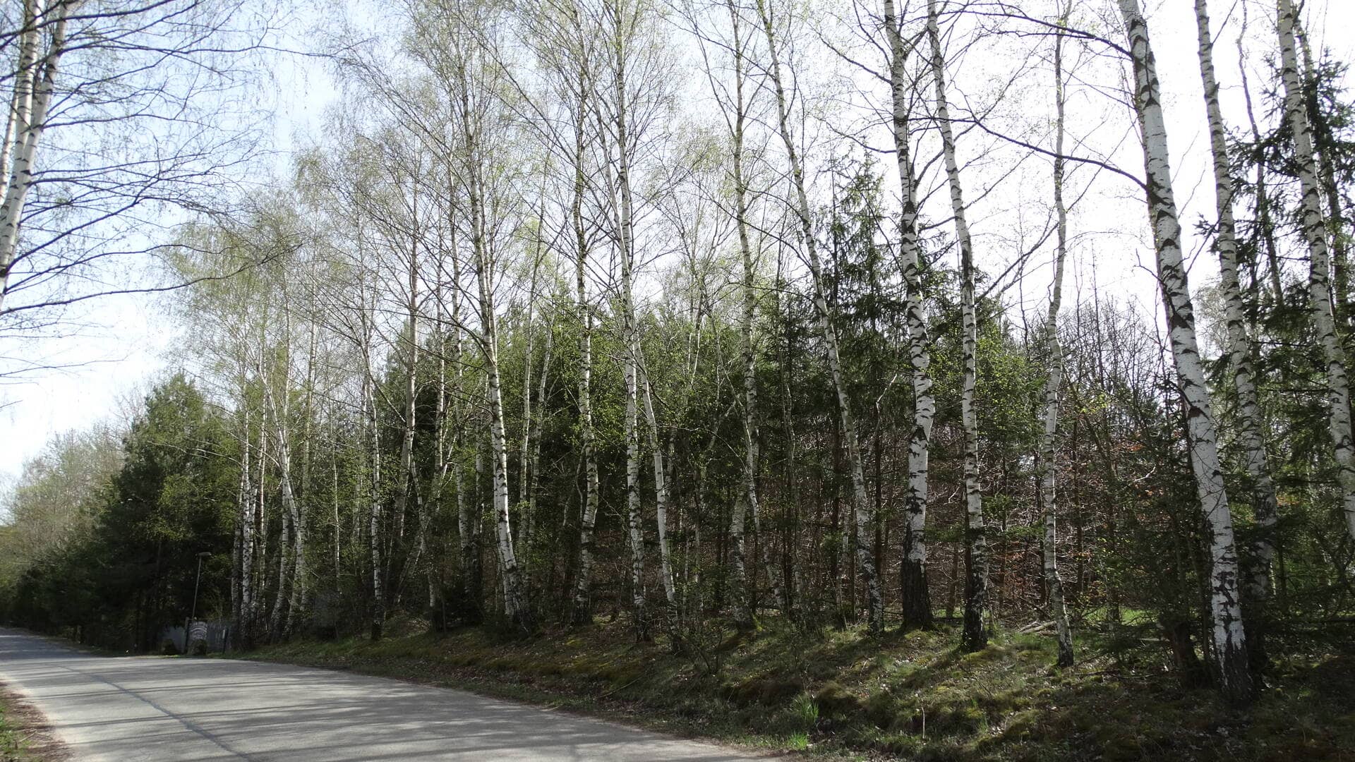 Działka 4600 m²