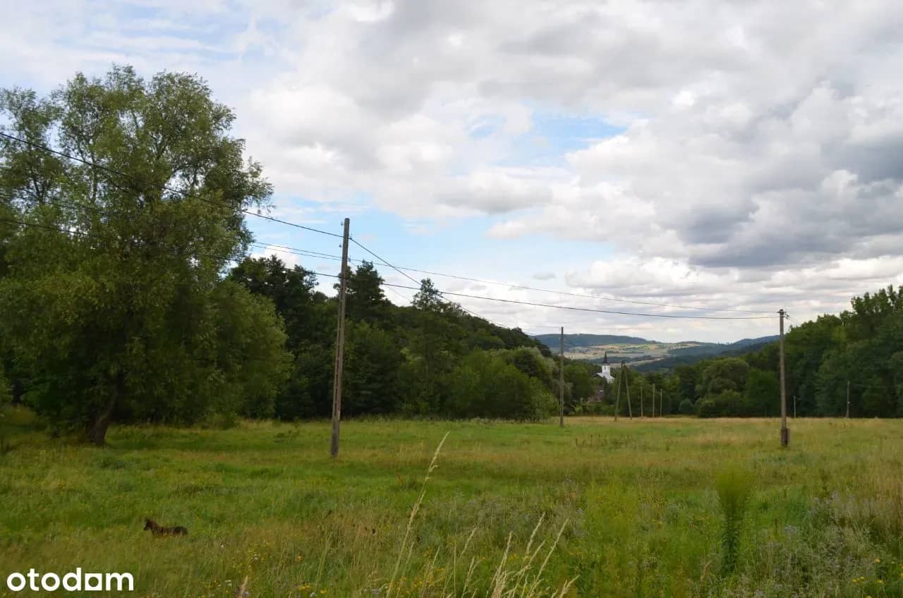 Działka 37 441 m²